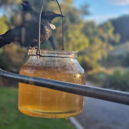 Catlins Lake Sanctuary Owaka 外观 照片