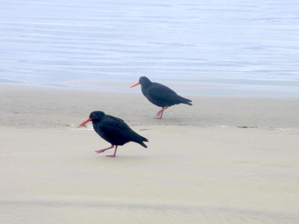 Catlins Lake Sanctuary Owaka 外观 照片
