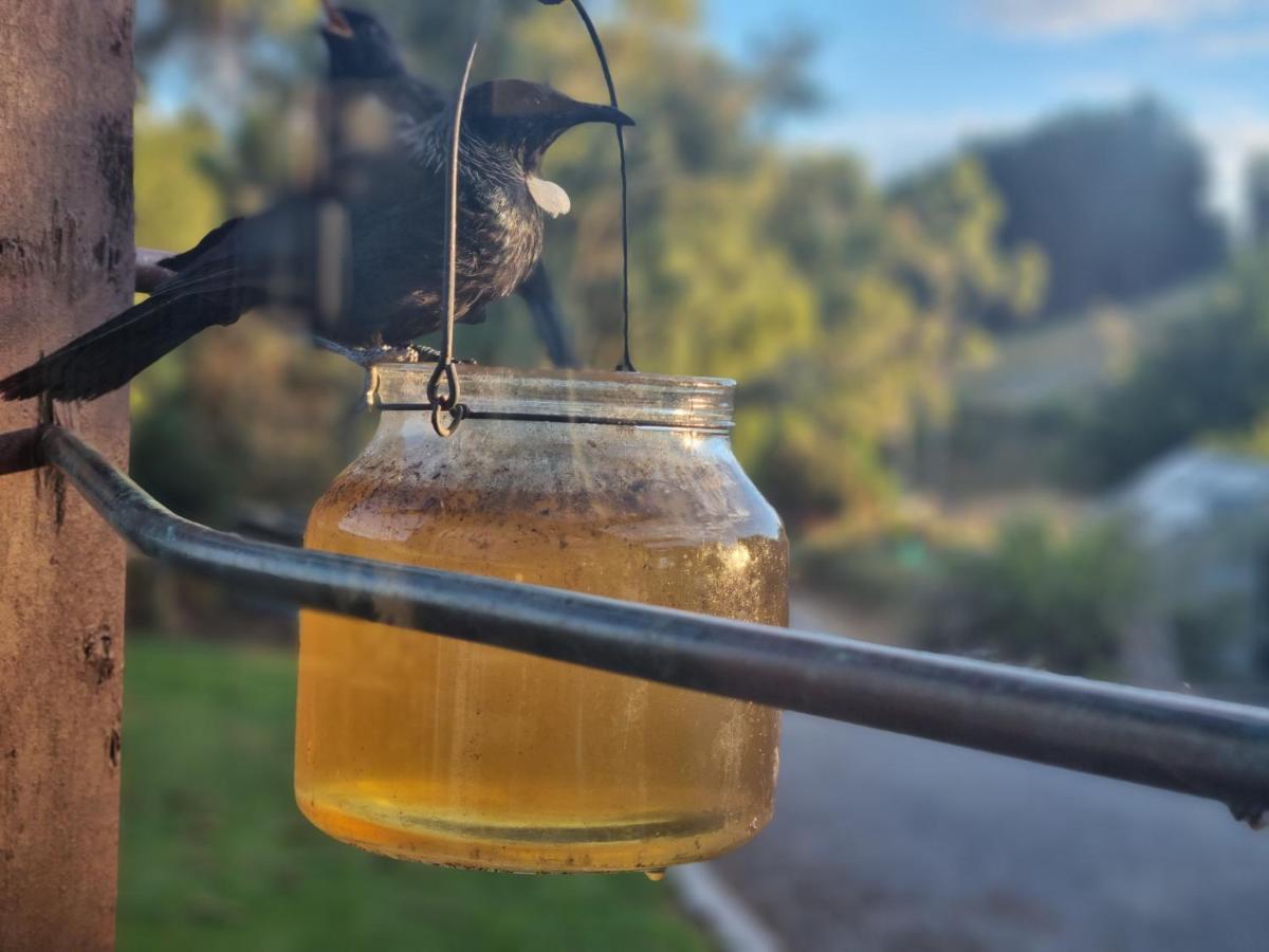Catlins Lake Sanctuary Owaka 外观 照片